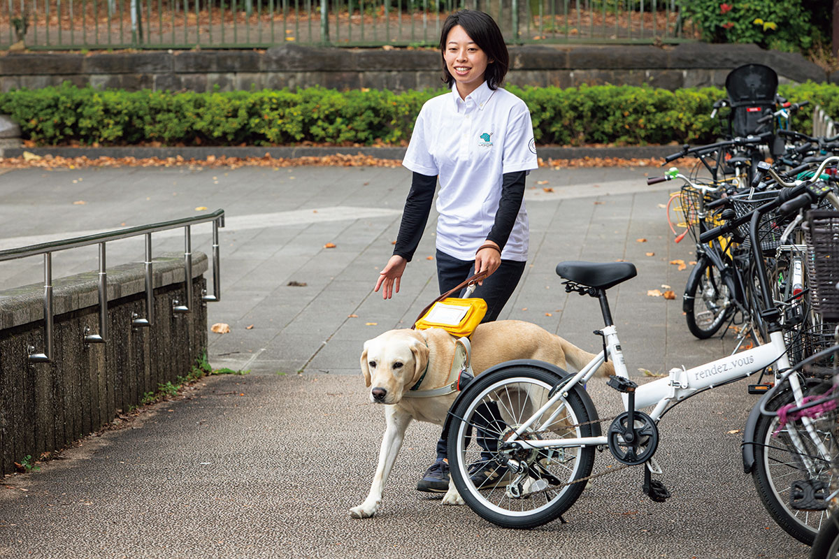 Guide dog